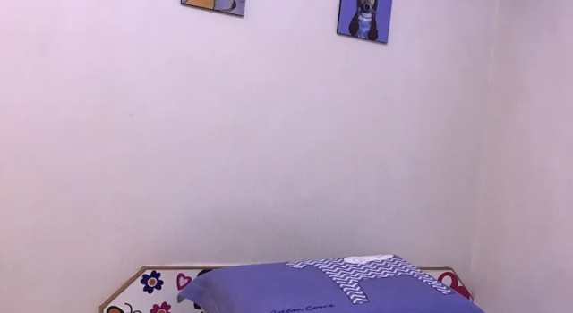 Двухместный номер Standard Shinny Inn