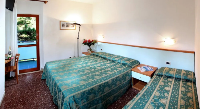 Трёхместный номер Standard с балконом Hotel Mediterraneo