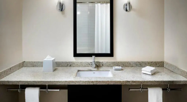 Двухместный номер Deluxe Four Points by Sheraton Mississauga Meadowvale