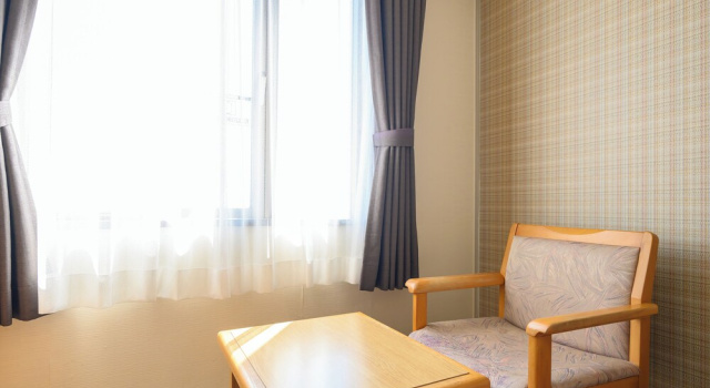 Одноместный номер Standard c 1 комнатой Hotel Green Park Suzuka