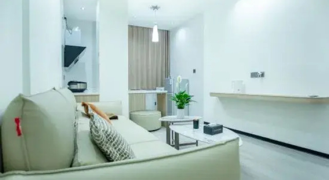 Люкс Boyue Light Luxury Hotel