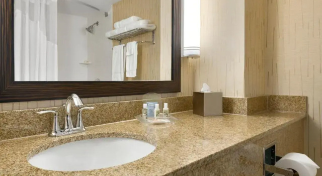 Номер Standard Holiday Inn & Suites Duluth-Downtown by IHG