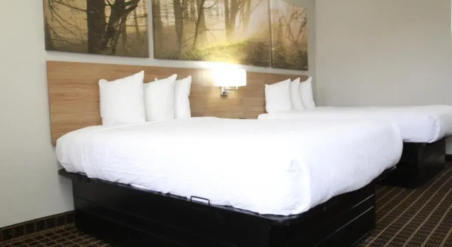 Четырёхместный номер Standard Days Inn by Wyndham Forest