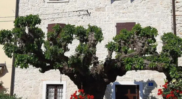 Casa Girasole