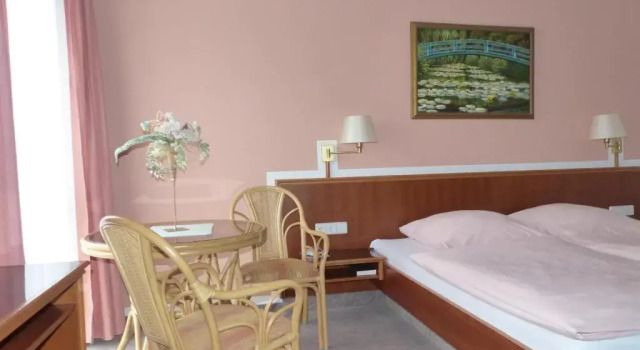 Двухместный номер Standard Hotel Dorotheenhof