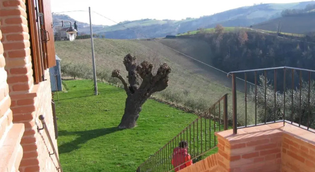 Апартаменты Agriturismo Serena