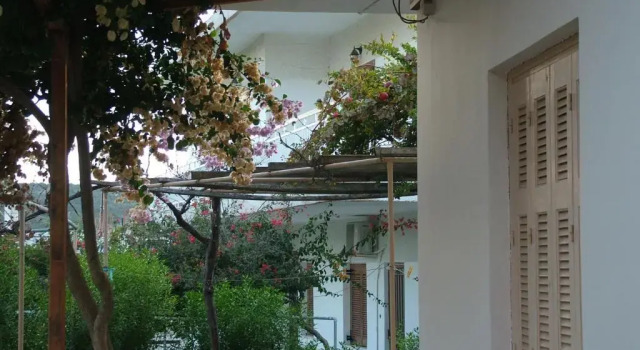 Студия Georges Apartment