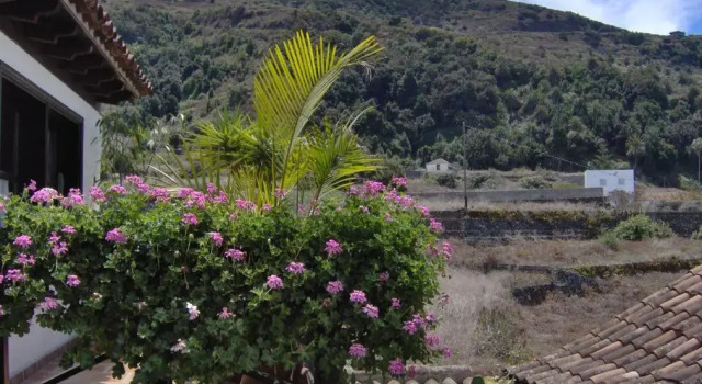 Rustic Holiday Home With Balcony and sea View, Book Apartment Hotels in Tenerife with Parking, Parking