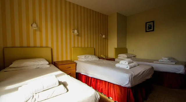 Семейный номер Standard New Loretta Hotel