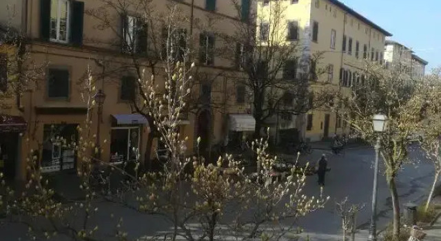 Suite Sofia
