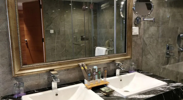 Двухместный номер Executive Novotel Imagica Khopoli Hotel
