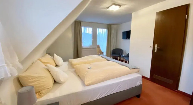 Двухместный номер Standard Hotel Zartenbach