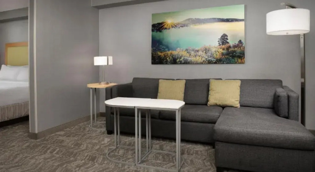Люкс SpringHill Suites by Marriott Boise ParkCenter