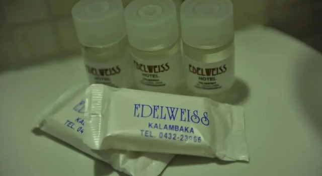 Одноместный номер Standard Hotel Edelweiss