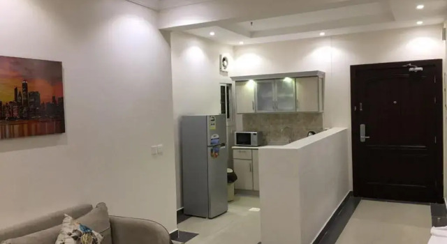Люкс c 1 комнатой Dior Inn serviced apartments