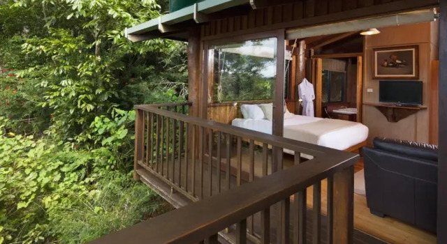 Студия Rose Gums Wilderness Retreat