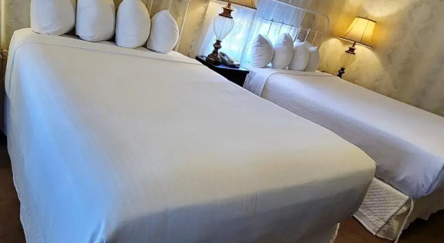 Четырёхместный номер Standard General Palmer Hotel