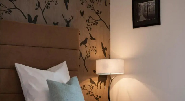 Номер Standard Hotel-Restaurant Bellevue