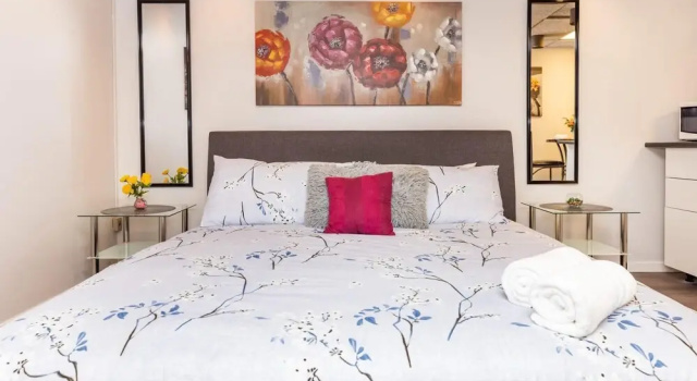 Modern Studio Apartment With King Bed Near Downtown Ottawa, Varaa Huoneisto Ottawa 