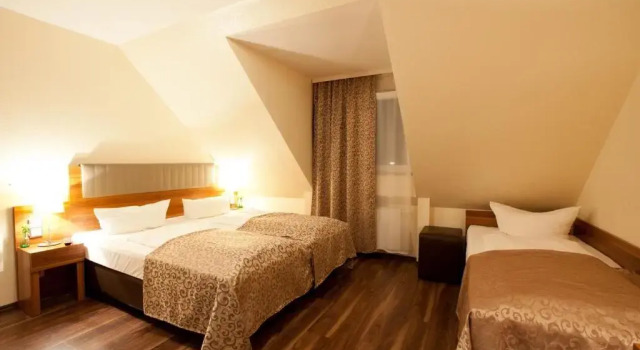Трёхместный номер Standard Hotel Frankfurt Messe