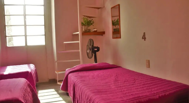 Кровать в общем номере (женский номер) Hotel lit Guadalajara