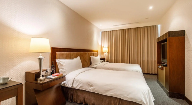 Двухместный номер Standard Hotel HD Palace