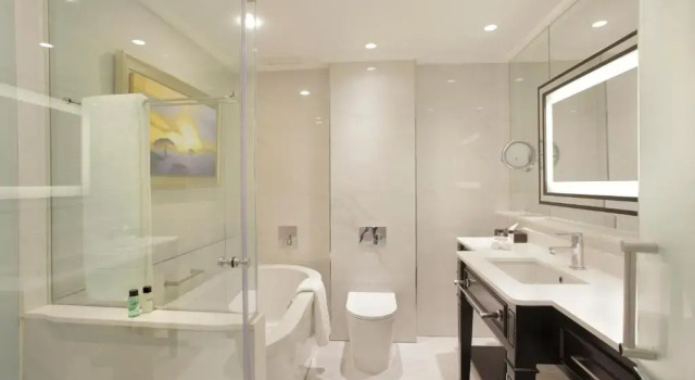 Двухместный номер Sandton Sun Executive Sandton Sun and Towers