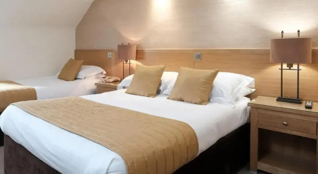 Семейный номер Standard The City Hotel
