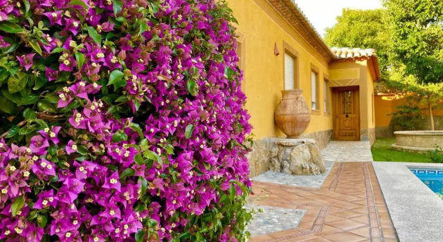 Коттедж Casa rural Vía del Tranvía