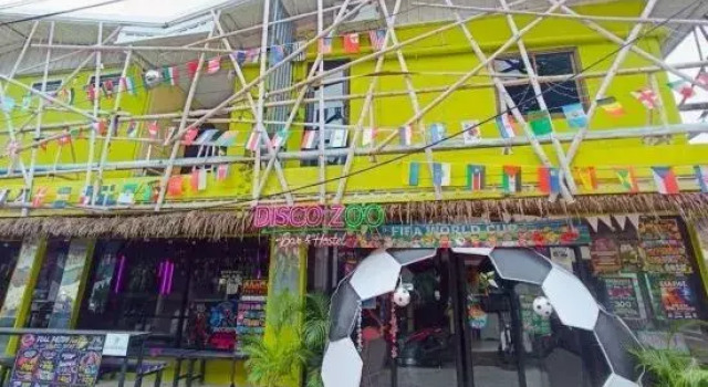 Discozoo Bar And Hostel