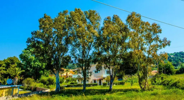 Студия Standard Aloni Studios & Apartments