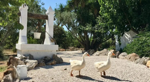 Коттедж Masseria Principe di Puglia