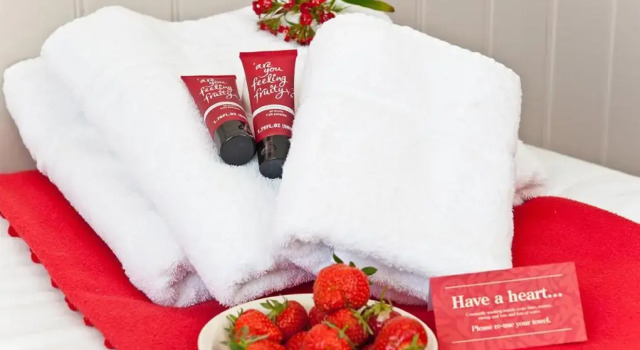 Четырёхместный номер Standard с видом на море Strawberry Fields