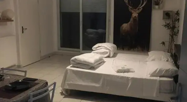 Paisible Appartement, Забронировать Апартаменты/квартира Апартаменты Тулузы, рядом с Cafe Theatre Les Minimes, Апартаменты/квартира