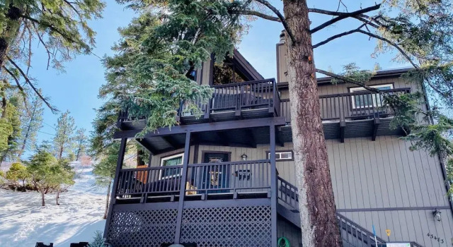 Moonridge Treetop Retreat