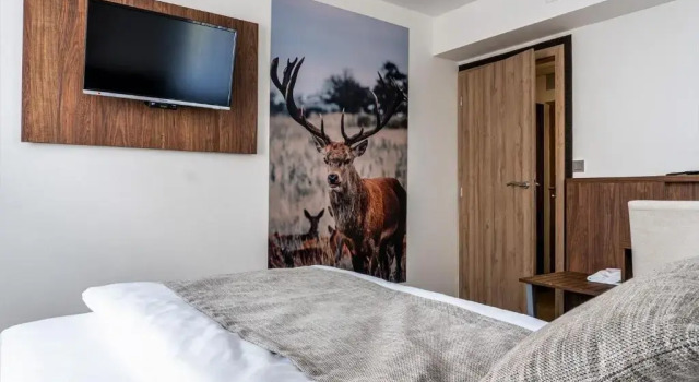Номер Standard Hotel Atlantis