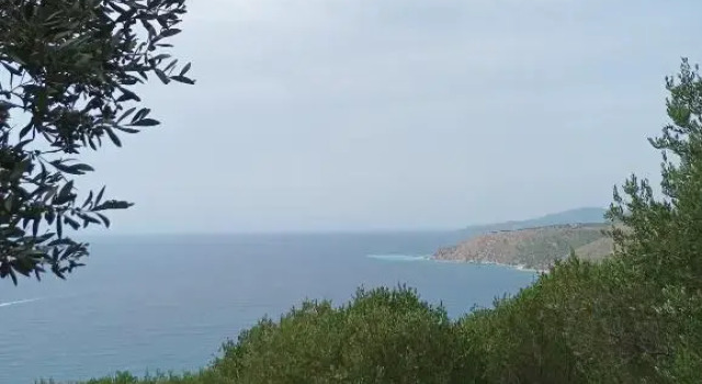 Casa vacanze Nica, Book Hotel Pisciotta 