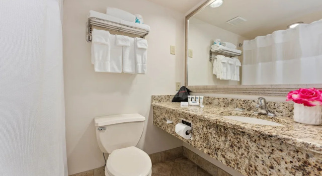 Четырёхместный номер Standard с красивым видом из окна La Mer Beachfront Resort