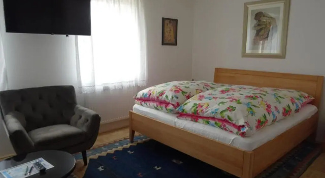 Homely Apartment in the Center with Garden View