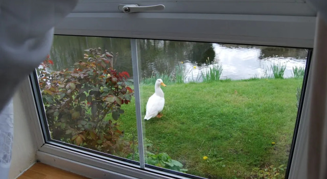 Cottage - Sleeps 3, Parking & Fishing, Varaa Lomakoti Mökit kohteessa Merseyside, Mökki