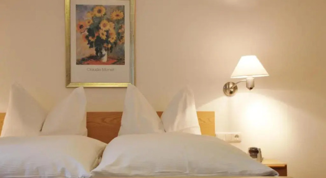 Номер Standard Gasthof-Pension Zum Haugstein - Familie Eder