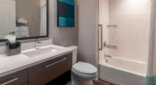 Четырёхместная студия TownePlace Suites by Marriott Leavenworth