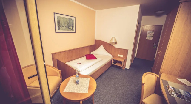 Одноместный номер Standard Panorama-Hotel am See