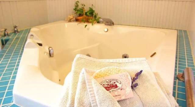 Студия Eagle Harbor Inn