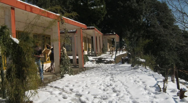 Номер Standard c 1 комнатой Janardan Resort Pangot, Nainital