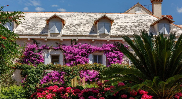 Hotel Lemongarden