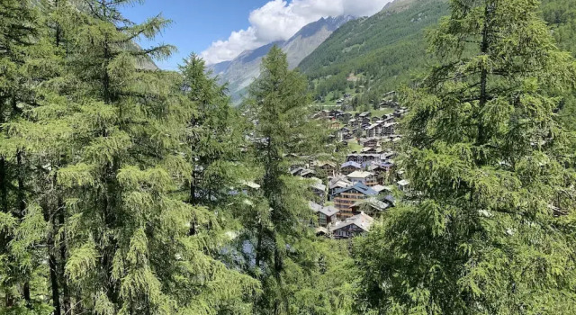 Апартаменты Standard Apartments Zermatt Paradies