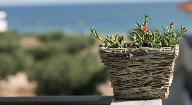 The House Of The Roses Seaview Superior Maisonette 3, Book Vacation Home Gerakini 