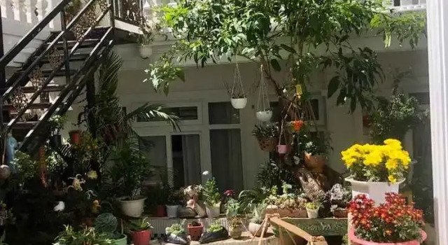 Khach San Villa Nam Khang 2, Boek Villa Vakantiehuizen in Lam Dong, Cottage