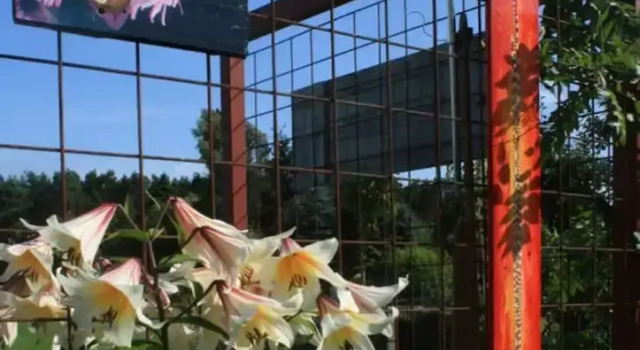Living Lust 3 in Malchow, Забронировать Отель Отели Мекленбургское поозёрье с парковкой, Парковка